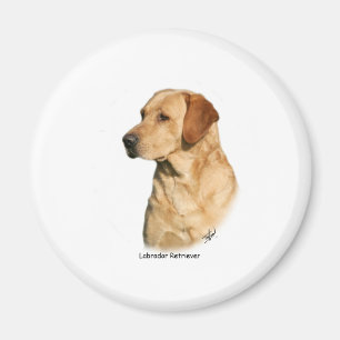 Gelbes Labrador retriever Magnet