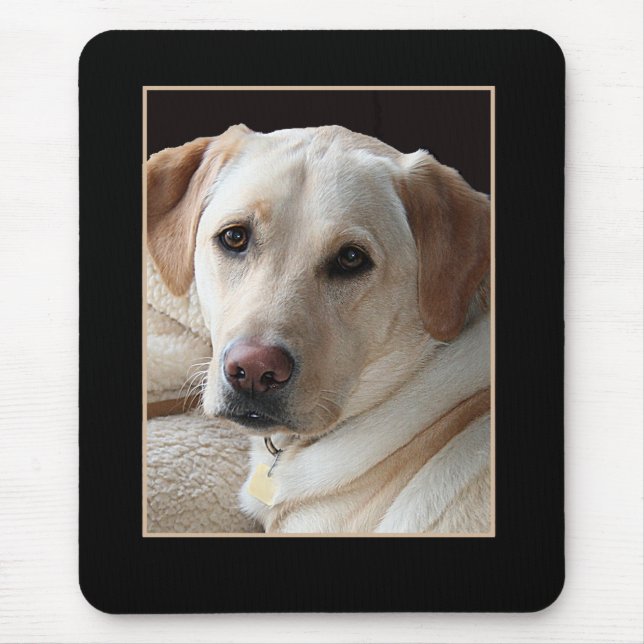 Gelbes Labrador retriever Mousepad (Vorne)