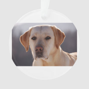 gelbes labrador retriever ornament