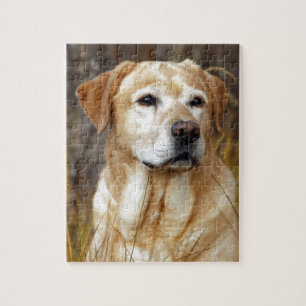 gelbes labrador retriever puzzle