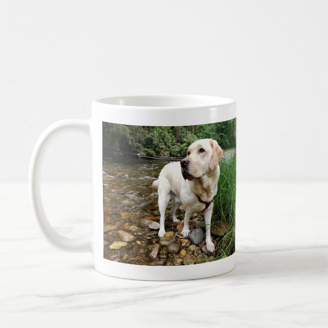 Gelbes Labrador Retriever Starre Pose Kaffeetasse (Links)