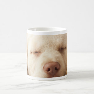 Gelbes Labrador retriever Tasse