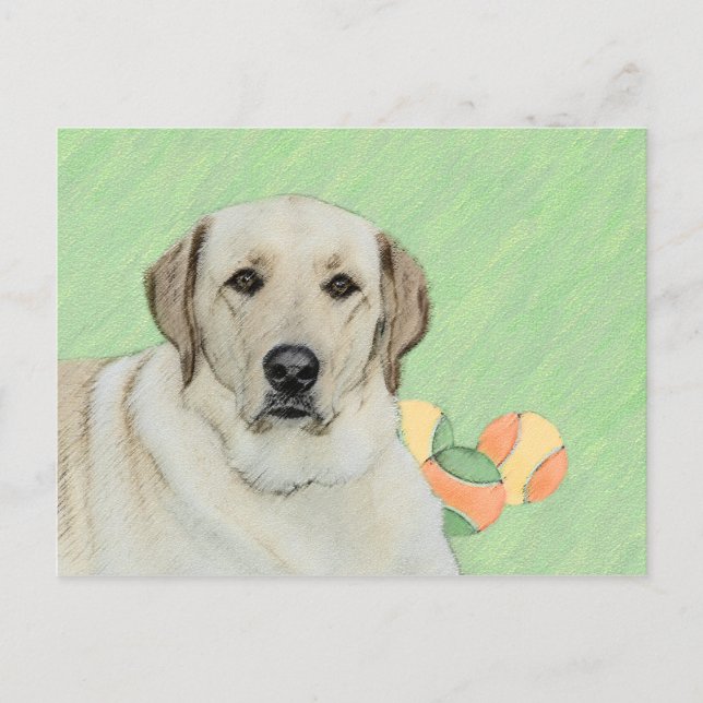 Gelbes Labrador Retriever & Tennis Balls Malerei Postkarte (Vorderseite)