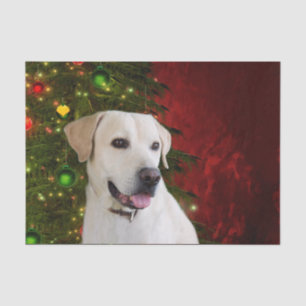 Gelbes labrador retriever-Weihnachten Seidenpapier
