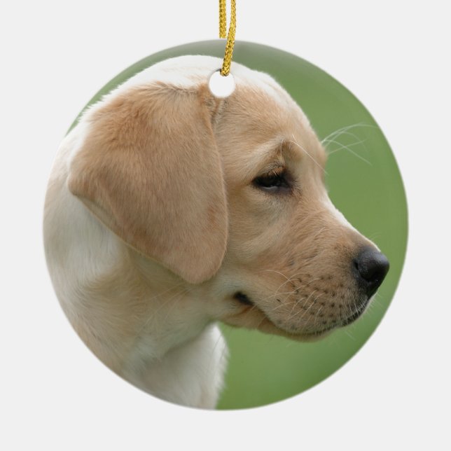 Gelbes Labrador Retriever Welpe Keramikornament (Vorne)