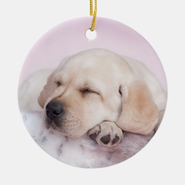 Gelbes Labrador Retriever Welpe Keramikornament (Vorne)