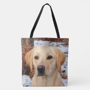 Gelbes Labrador - Schneehund - Gelbe Labrador