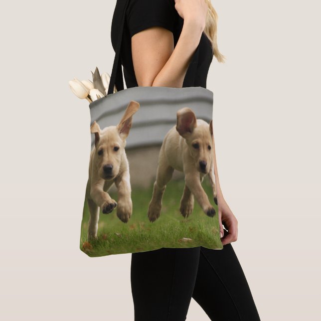 Gelbes Labrador-Welpen-Laufen (Von Nahem)