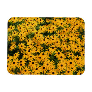 Gelbes Milchfeld - Blume - Magnet