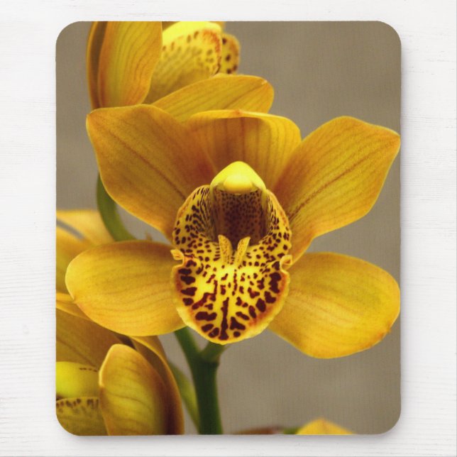 Gelbes Orchidee mousepad (Vorne)