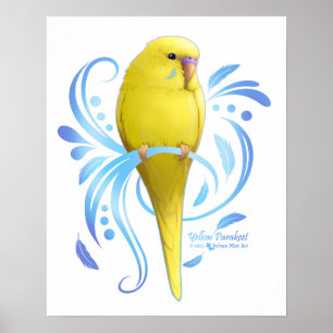 Gelbes Parakeet Poster