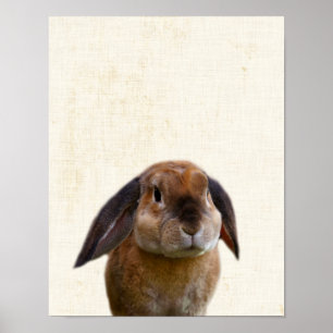 Gelbes Peekaboo-Hasen Minimalistisches Kinderzimme Poster