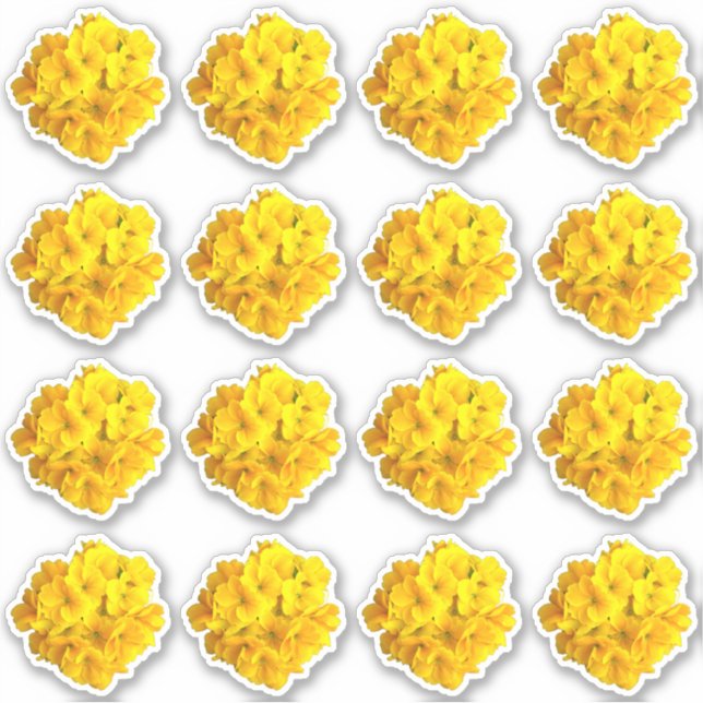 Gelbes Primrose-Blume-Muster Aufkleber (Vorderseite)
