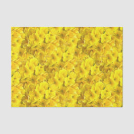 Gelbes Primrose-Blume-Muster Seidenpapier