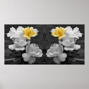 Gelbes Rose Cluster Teilfarbspiegel Abstrakt Poster
