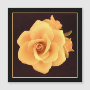 Gelbes Rose, Foto 2004. Magnetkarte