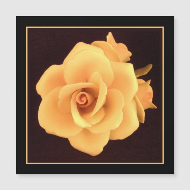 Gelbes Rose, Foto 2004. Magnetkarte (Vorderseite)