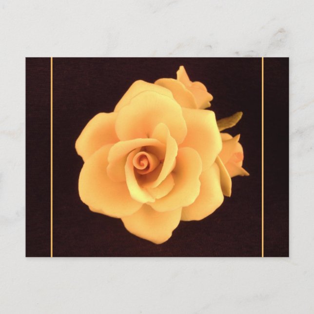 Gelbes Rose, Foto 2004. Postkarte (Vorderseite)