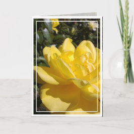 Gelbes Rose-Foto auf der Blank-Karte Karte