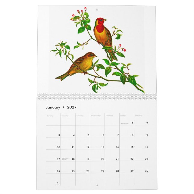 Gelbes Rosella Kalender (Jan 2027)