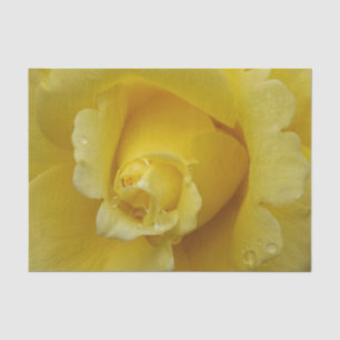 Gelbes Rosengewebe Seidenpapier