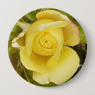 Gelbes Rosenknospe-Abzeichen Button