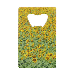 Gelbes Sonnenblume-Feld Geldkarten Flaschenöffner