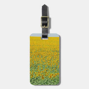Gelbes Sonnenblume-Feld Gepäckanhänger