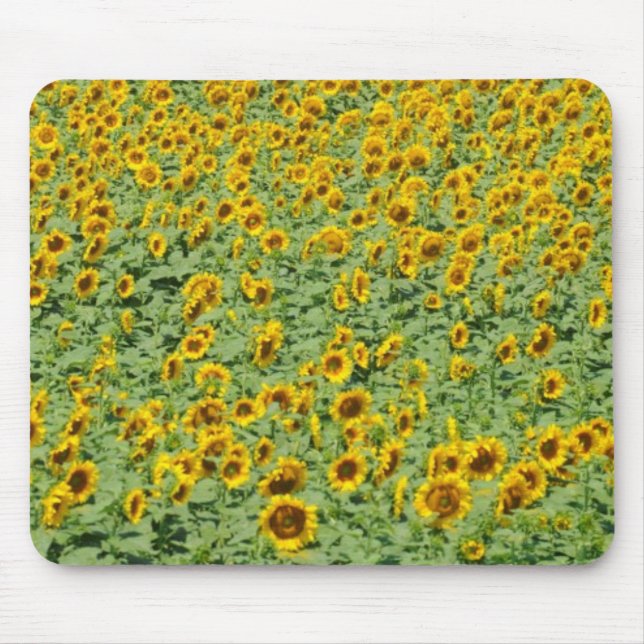 Gelbes Sonnenblume-Feld Mousepad (Vorne)