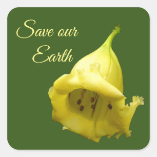 Gelbes tropisches Blossom Quadratischer Aufkleber