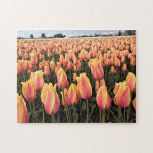 Gelbes und rosa Tulip Field, Oregon Puzzle