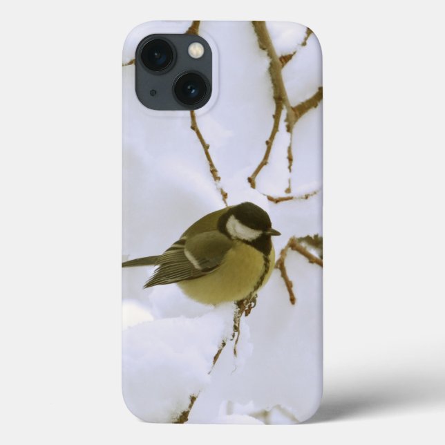 Gelbes Vogel-Winter iPhone 6/6s, starkes Xtreme Case-Mate iPhone Hülle (Rückseite)
