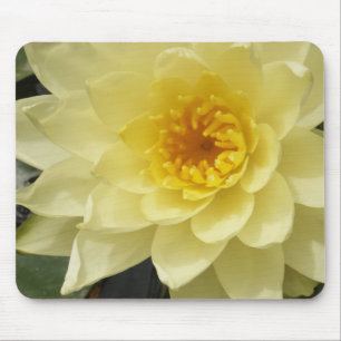 Gelbes Wasser-Lilie Mousepad
