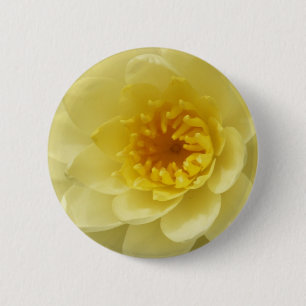 Gelbes Wasser-Lilien-Knopf Button