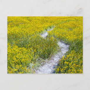 Gelbes Wildblume Postkarte