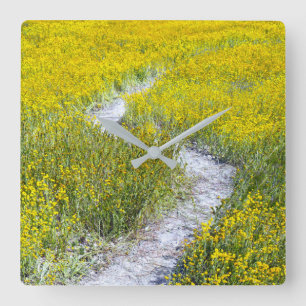 Gelbes Wildblume Quadratische Wanduhr