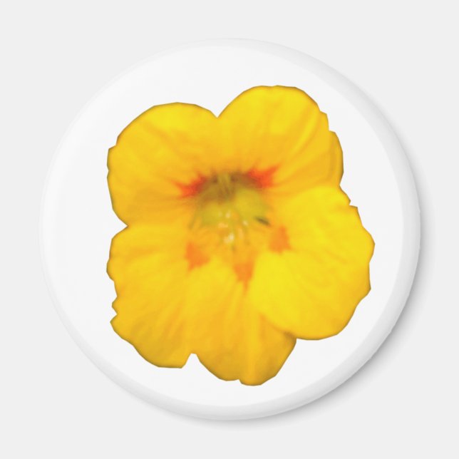 Gelbfarbener Nasturtium-Blume-Magnet Magnet (Vorne)