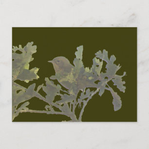 Gelbfliege Postkarte