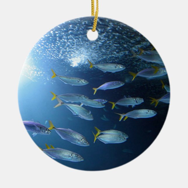 Gelbflossen-Thunfisch Keramikornament (Vorne)