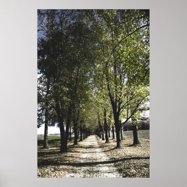 Gelbforst-Poster Poster (Vorne)