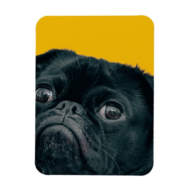 Gelbhund Magnet (Vertikal)