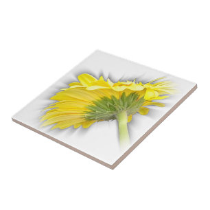 Gelbkraut Fliese
