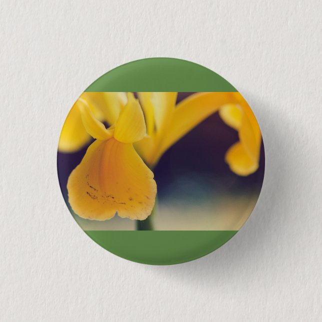 Gelblilie Button (Vorderseite)