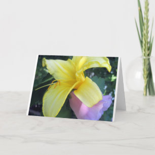 Gelblilie Feiertagskarte
