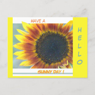 Gelborange Sonnenblumenkruste. HELLO Postcard Postkarte