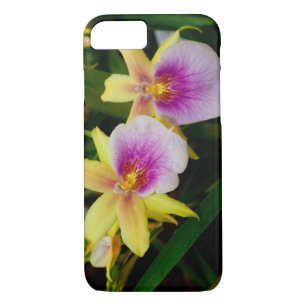 Gelbrosa Lila Miltonia Sunset Orchideen Case-Mate iPhone Hülle
