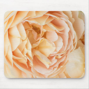 Gelbrose-Blume Mousepad