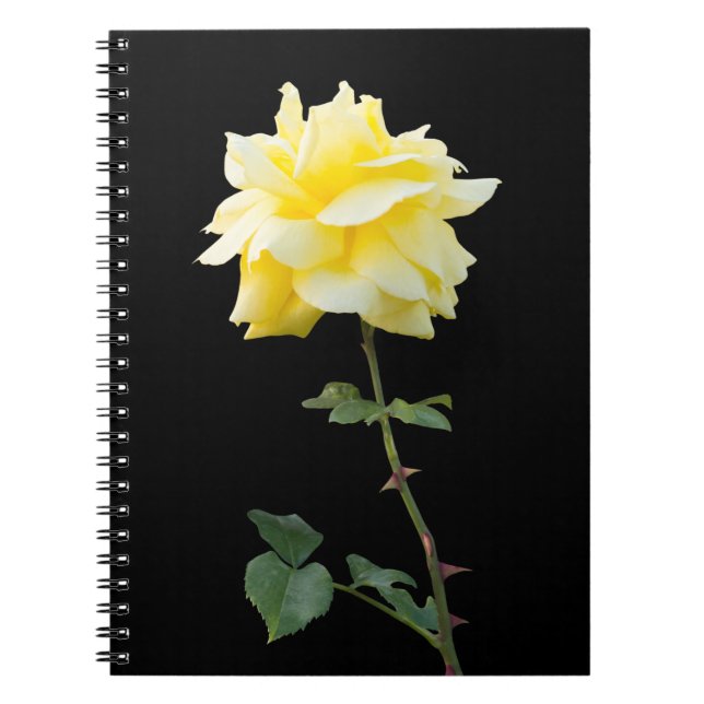 Gelbrose-Blume Notizblock (Vorderseite)