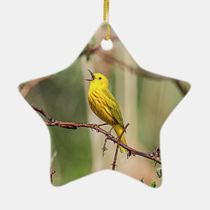 Gelbsänger singt keramikornament