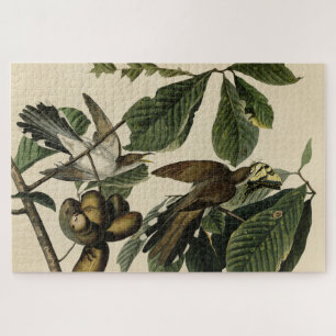 Gelbschnabelkuckuck - Audubons Vögel in Amerika Puzzle